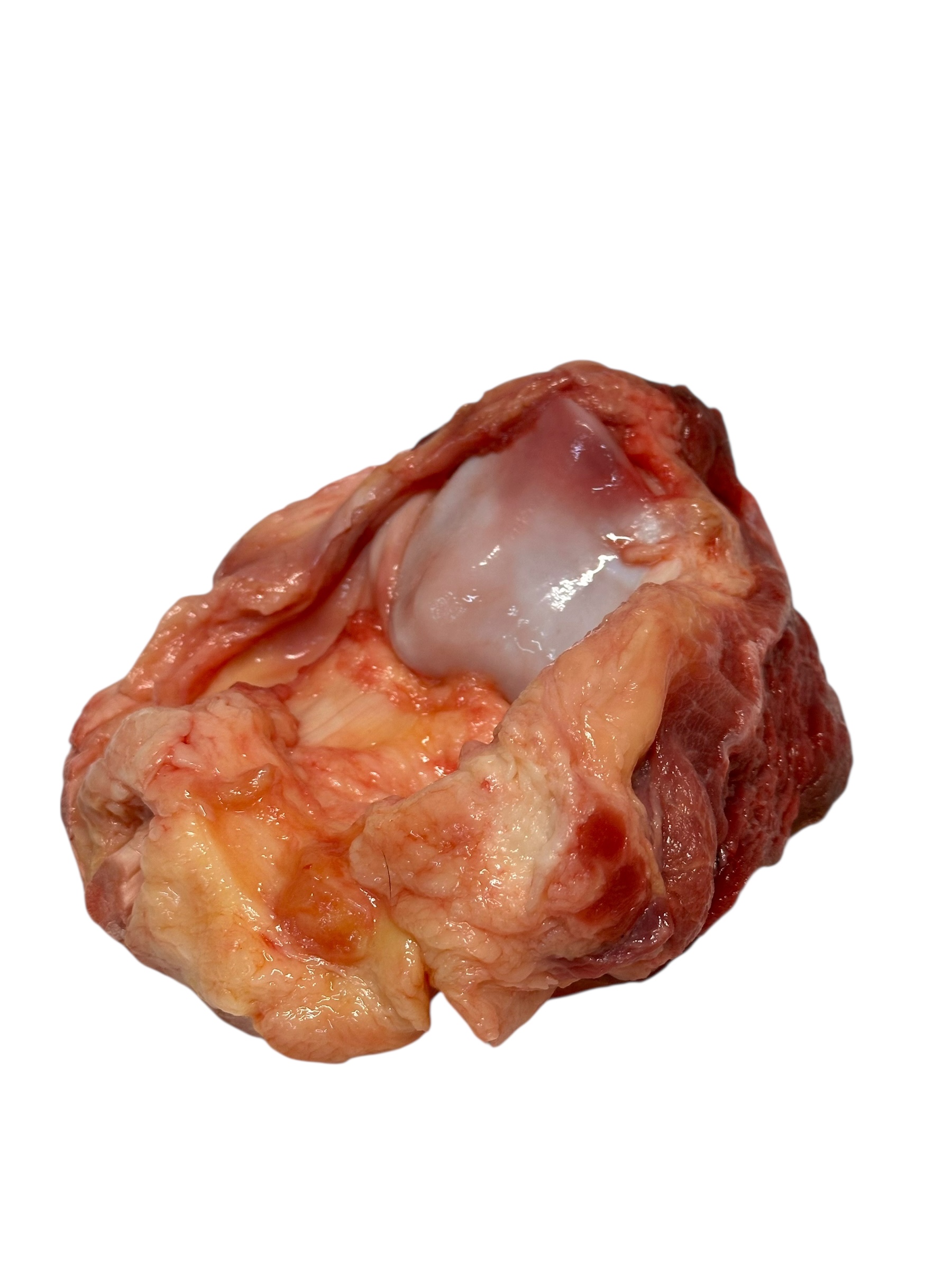 Photoroom_012_20251016_115539