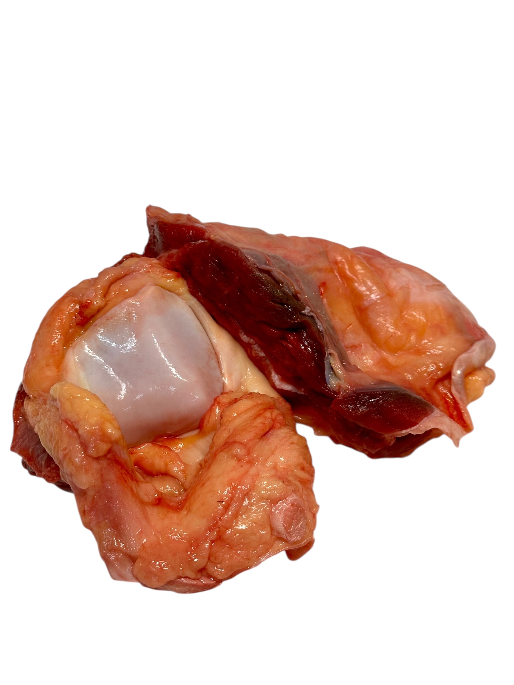 Photoroom_014_20251016_115539